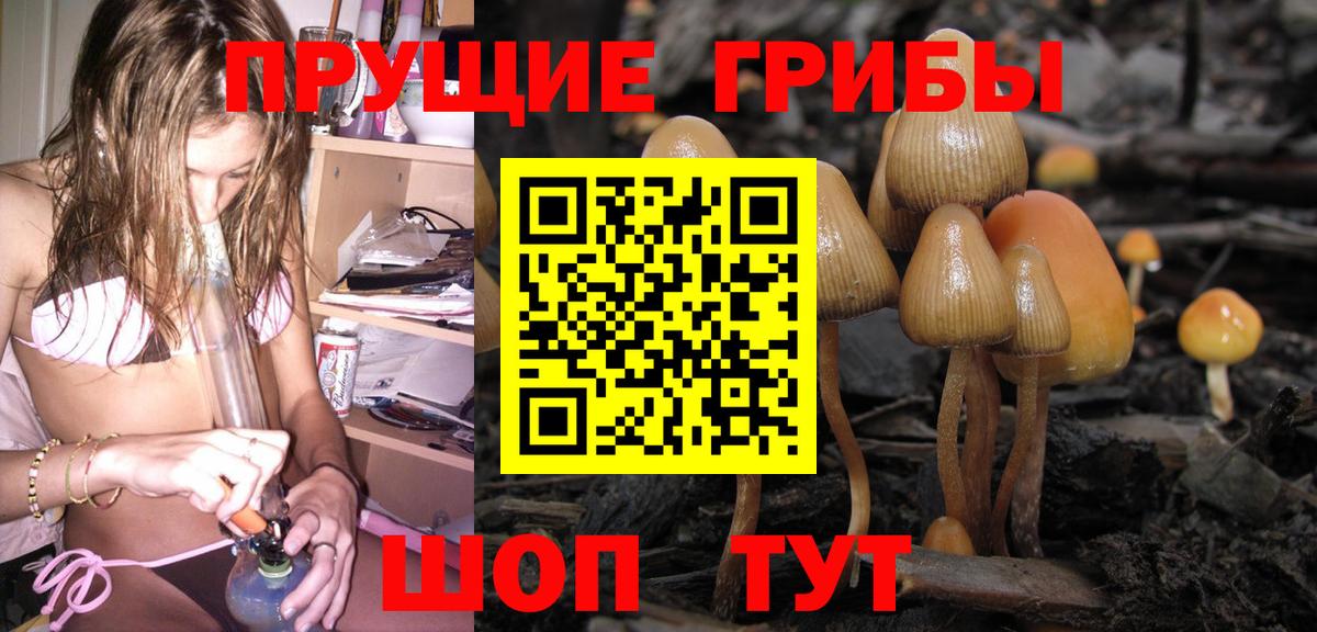 Псилоцибиновые грибы Psilocybe  Вход с VPN  Торжок 
