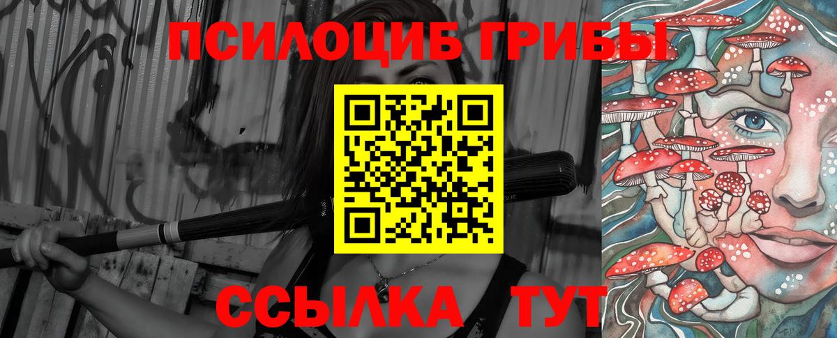Псилоцибиновые грибы Cubensis Торжок