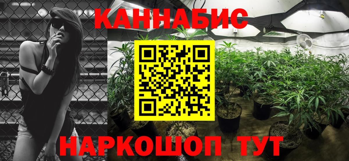 Марихуана Amnesia  Конопля конопля  Шишки марихуана AK-47  Торжок  Вход с VPN  Каннабис THC 21% 